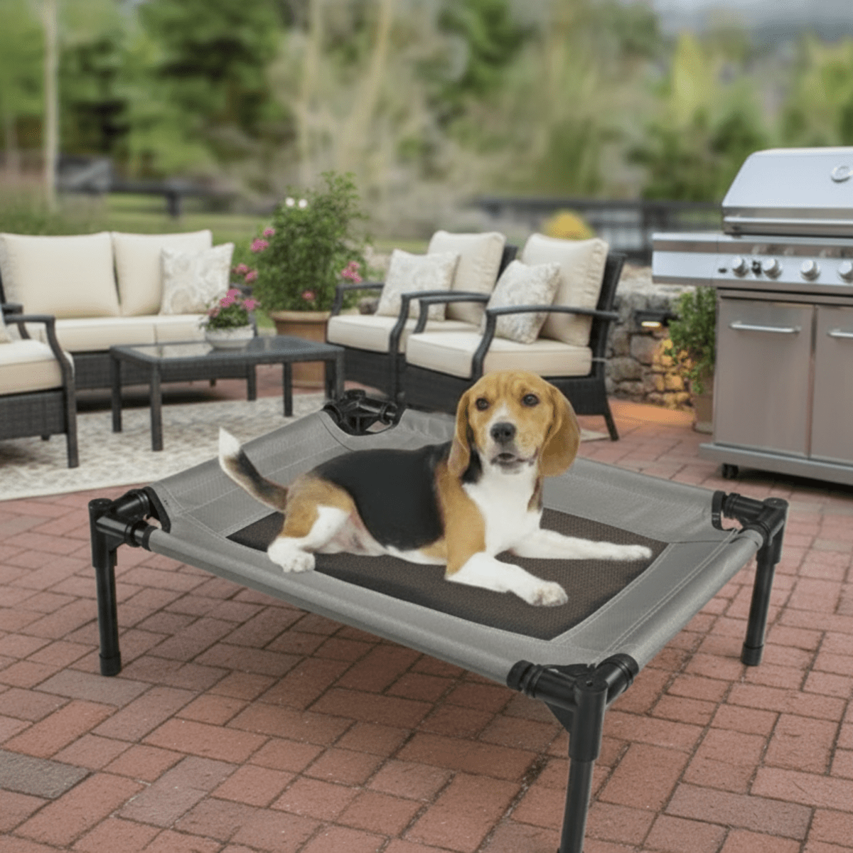 RuffStuff™ Small Elevated Mesh Pet Bed – Up to 20 lb - Trusted Best Sellers™. All Rights Reserved. Trusted Best Sellers LLC.