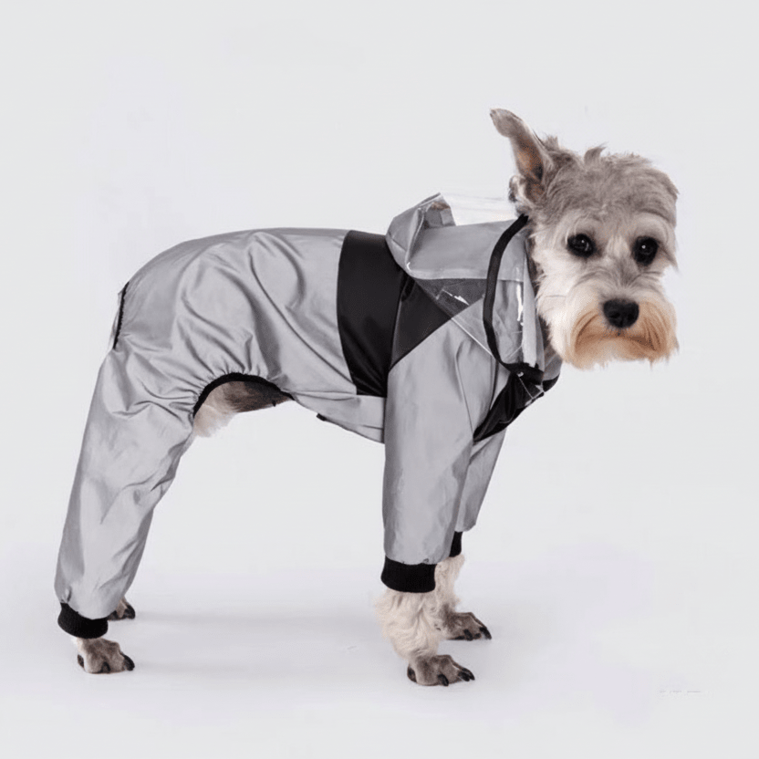 Fashion Trend Reflective Waterproof Dog Raincoat - Trusted Best Sellers™. All Rights Reserved. Trusted Best Sellers LLC.