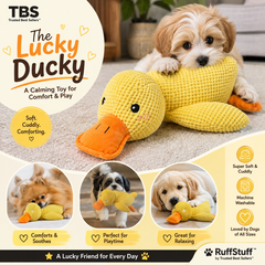 A yellow crocheted duck-shaped dog toy with an orange beak is shown on a beige carpet, with a small fluffy dog lying on top of it. The image includes promotional text and three smaller inset photos showing the toy being used by different dogs.