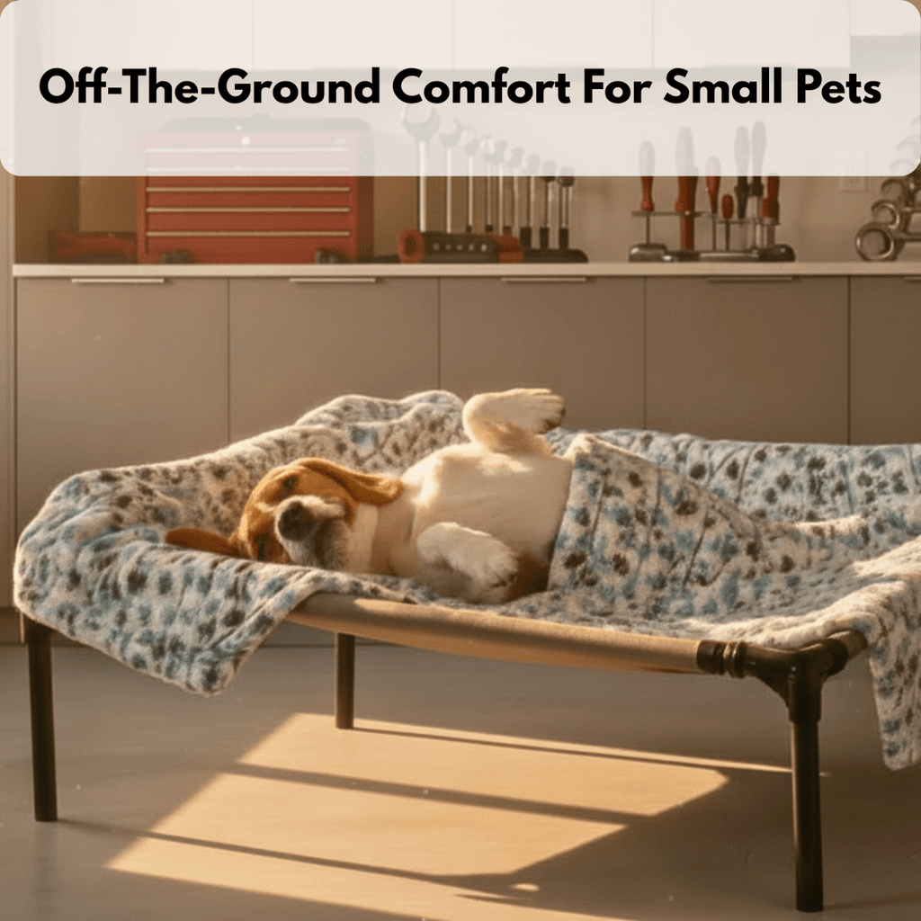 RuffStuff™ Small Elevated Mesh Pet Bed – Up to 20 lb - Trusted Best Sellers™. All Rights Reserved. Trusted Best Sellers LLC.