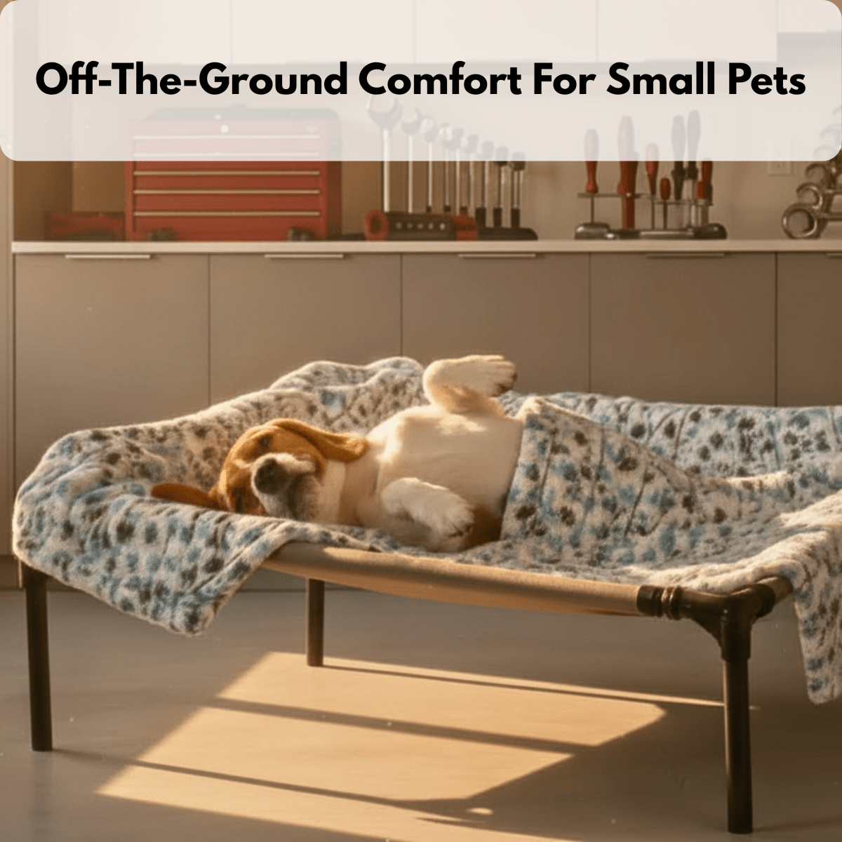 RuffStuff™ Small Elevated Mesh Pet Bed – Up to 20 lb - Trusted Best Sellers™. All Rights Reserved. Trusted Best Sellers LLC.