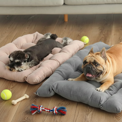 SnugglePaws™ Folding Nest Sofa Pet Bed – Cozy Convertible Comfort for Cats & Small Pets