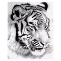 DIY Acrylic Tiger Wall Art for Home Decor - Trusted Best Sellers™. All Rights Reserved. Trusted Best Sellers LLC.