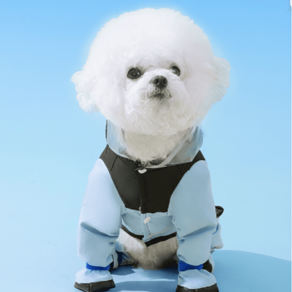 Pet Poncho Raincoat (One Set) - Trusted Best Sellers™. All Rights Reserved. Trusted Best Sellers LLC.