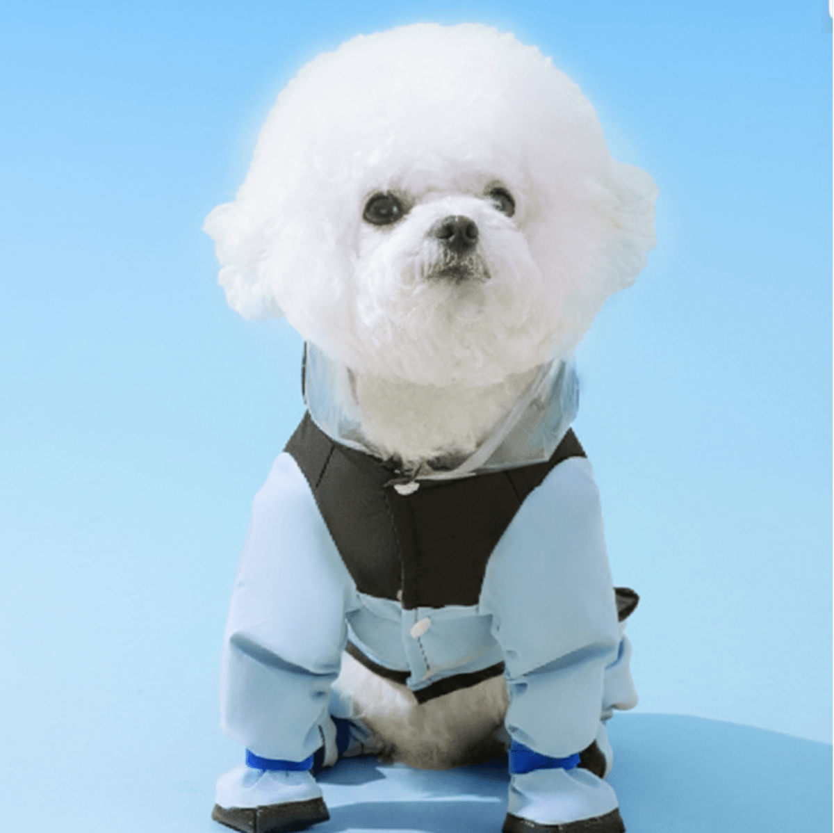Pet Poncho Raincoat (One Set) - Trusted Best Sellers™. All Rights Reserved. Trusted Best Sellers LLC.