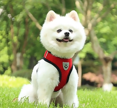 Reflective Pet Harness for Enhanced Safety